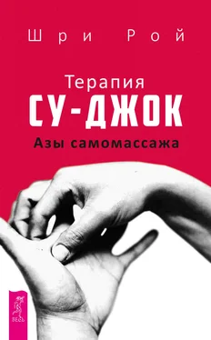 Шри Рой Терапия су-джок. Азы самомассажа обложка книги