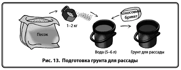 2Сеять семена в горшочки с грунтом рис 14 надо в середине февраля а для - фото 15