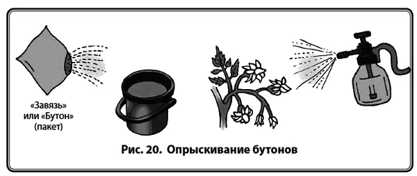 С перца осыпаются цветки и да же завязи растение могло попасть под заморозок - фото 22