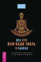 Александр Ярышев - Все, что вам надо знать о чакрах - активация, функции и методики работы