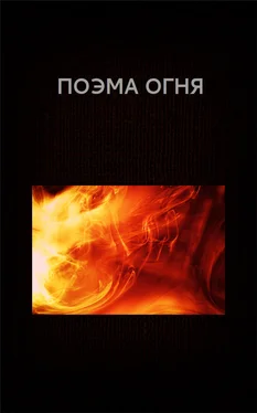 Вадим Астанин Поэма огня обложка книги