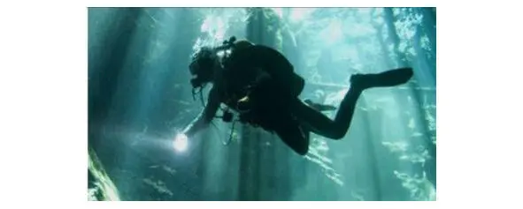 Дела подводные Подводный туризм - фото 1
