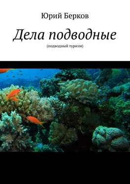 Юрий Берков Дела подводные. Подводный туризм обложка книги