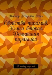 Виктор Себин - Свойства пирамид. Книга вторая. Домашняя пирамида. В тайну пирамид