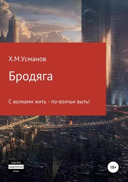 Хайдарали Усманов Бродяга… С волками жить – по-волчьи выть! обложка книги