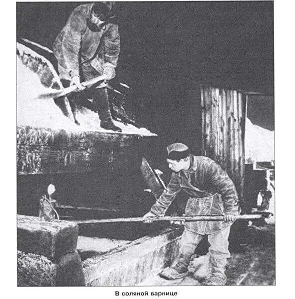 Выварка соли Фотография из фондов Соликамского музея соли Добываемый рассол по - фото 13