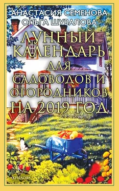 Ольга Шувалова Лунный календарь для садоводов и огородников на 2019 год обложка книги