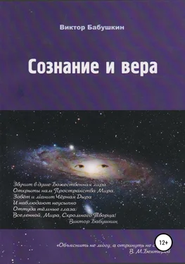 Виктор Бабушкин Сознание и вера обложка книги