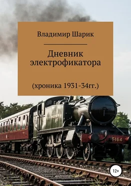 Владимир Шарик Дневник электрофикатора обложка книги