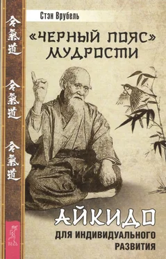 Стэн Врубель «Черный пояс» мудрости. Айкидо для индивидуального развития обложка книги