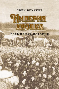 Свен Беккерт Империя хлопка. Всемирная история обложка книги