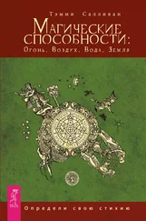 Тэмми Салливан - Магические способности - Огонь, Воздух, Вода, Земля. Определи свою стихию