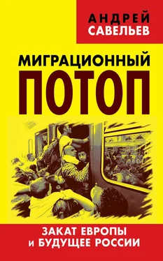 Андрей Савельев Миграционный потоп. Закат Европы и будущее России обложка книги