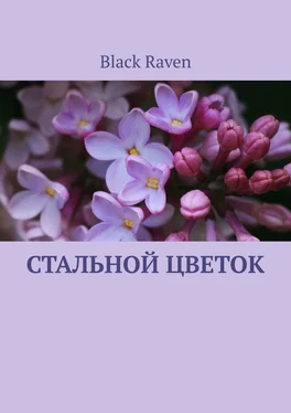 Black Raven Стальной цветок обложка книги