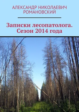 Александр Романовский Записки лесопатолога. Сезон 2014 года обложка книги