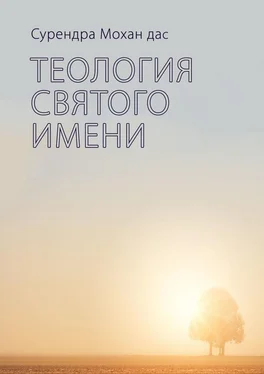 Сурендра Мохан дас Теология святого имени обложка книги