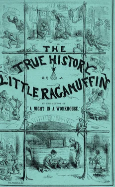 James Greenwood The True History of a Little Ragamuffin обложка книги