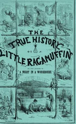 James Greenwood - The True History of a Little Ragamuffin