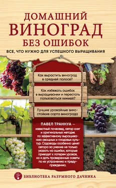 Павел Траннуа Домашний виноград без ошибок. Все, что нужно для успешного выращивания обложка книги