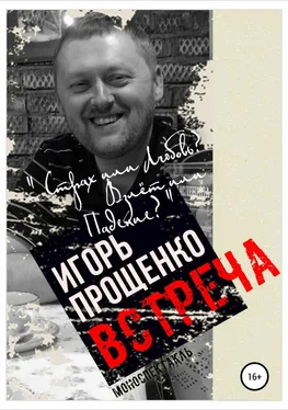 Игорь Прощенко Встреча обложка книги