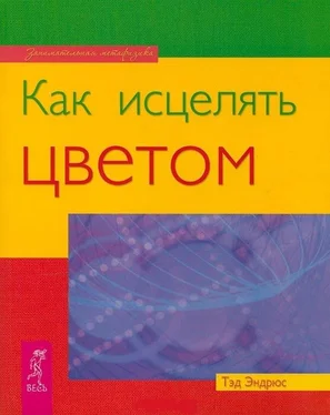 Тэд Эндрюс Как исцелять цветом обложка книги