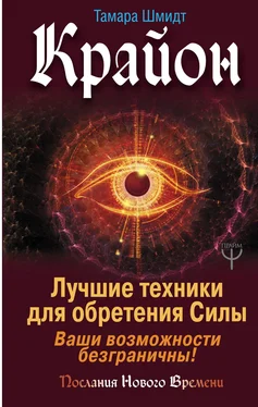 Тамара Шмидт Крайон. Лучшие техники для обретения Силы. Ваши возможности безграничны! обложка книги