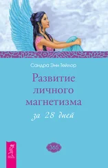 Сандра Тейлор - Развитие личного магнетизма за 28 дней