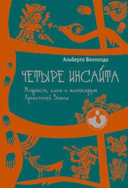 Альберто Виллолдо Четыре инсайта. Мудрость, сила и милосердие Хранителей Земли обложка книги