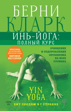 Берни Кларк Инь-йога: полный курс. Очищение и оздоровление организма на всех уровнях обложка книги