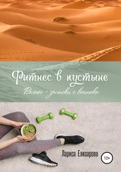 Лариса Елизарова - Фитнес в Пустыне. Велнес-записки с востока