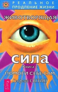 Георгий Сытин Животворящая сила. Помоги себе сам. Книга 2 обложка книги