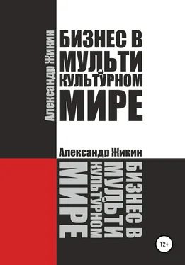 Александр Жикин Бизнес в мультикультурном мире обложка книги