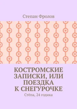 Степан Фролов Костромские записки, или Поездка к Снегурочке. Стёпа, 24 годика обложка книги