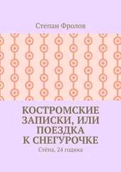 Степан Фролов - Костромские записки, или Поездка к Снегурочке. Стёпа, 24 годика