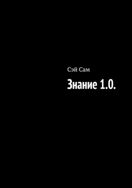 Сэй Сам Знание 1.0. обложка книги