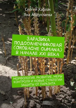 Яна Абдуллаева Заразиха подсолнечниковая (Orobache cumana) в начале ХХІ века. Морфология, развитие, меры контроля и новые стратегии защиты от паразита обложка книги