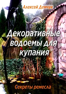 Алексей Демчук Декоративные водоёмы для купания. Секреты ремесла обложка книги