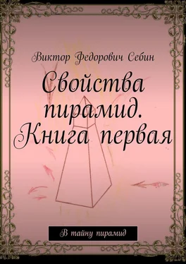 Виктор Себин Свойства пирамид. Книга первая. В тайну пирамид обложка книги