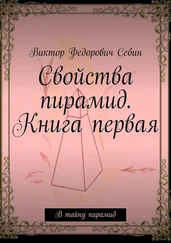 Виктор Себин - Свойства пирамид. Книга первая. В тайну пирамид