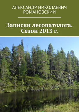 Александр Романовский Записки лесопатолога. Сезон 2013 г. обложка книги