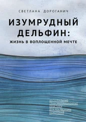 Светлана Дороганич - Изумрудный дельфин - жизнь в воплощенной мечте. Интегральные трансформационные практики для реализации намерений