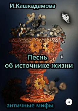 Ирина Кашкадамова Песнь об источнике жизни обложка книги