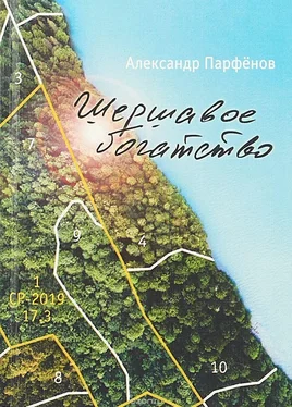 Александр Парфёнов Шершавое богатство обложка книги