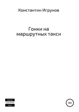 Константин Игрунов Гонки на маршрутных такси обложка книги