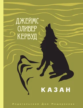 Джеймс Оливер Кервуд Казан обложка книги