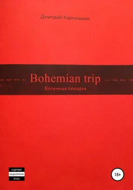 Дмитрий Карнишкин Bohemian Trip обложка книги