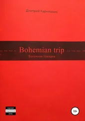 Дмитрий Карнишкин - Bohemian Trip