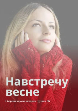 Сергей Ходосевич Навстречу весне. Сборник прозы авторов группы ВК обложка книги