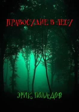 Эрик Поладов Правосудие в лесу обложка книги