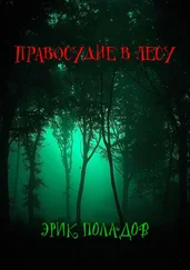 Эрик Поладов - Правосудие в лесу